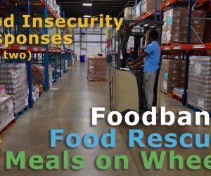 Foodbanks tested during gov’t shutdown; food rescue also important 